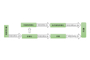 中國系全球乙肝病毒中高度流行區(qū)，用藥市場規(guī)模大（附報告目錄）