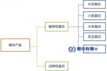 植物蛋白行業(yè)現(xiàn)狀、市場(chǎng)趨勢(shì)、產(chǎn)業(yè)鏈結(jié)構(gòu)與重點(diǎn)企業(yè)梳理