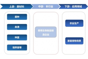獸用生物制品行業(yè)全景解析：產(chǎn)業(yè)鏈、趨勢及競爭格局