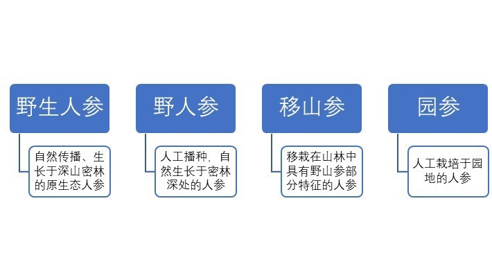 人參行業(yè)概況與區(qū)域結構分析（附報告目錄）(圖1)